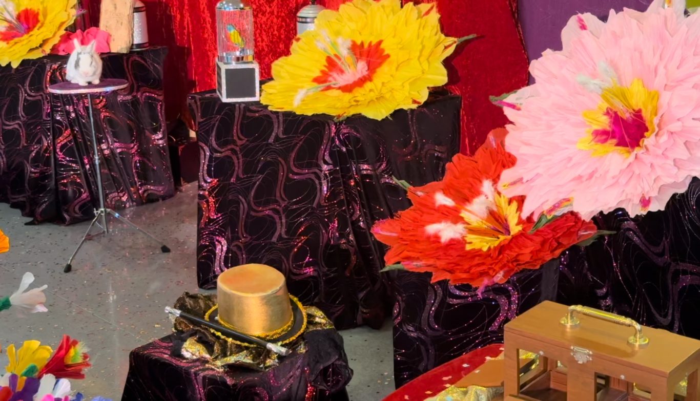 Spectacle jeune public Magie pour école ALSH 91150 Étampes Arpajon Dourdan Évry-Courcouronnes Les Ulis Palaiseau et Massy en Essonne Spectacle jeune public Magie pour école ALSH 91150 Étampes Arpajon Dourdan Évry-Courcouronnes Les Ulis Palaiseau et Massy en Essonne