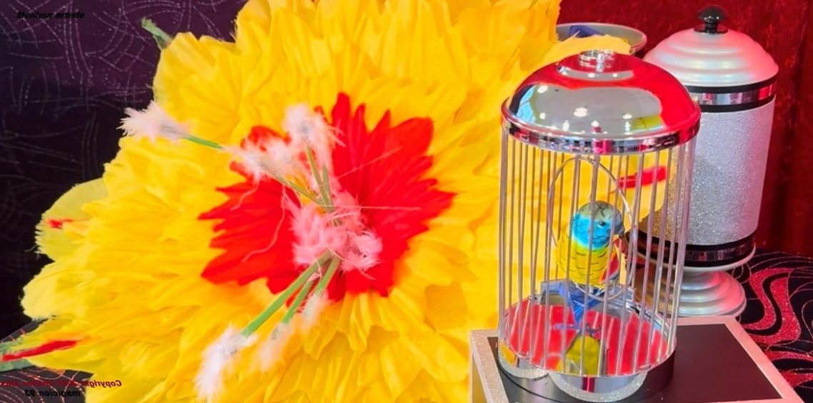 Magnifique matériel de Magie : Spectacle pédagogique enfant pour école centre de loisirs ALSH ACM en Eure-et-Loir à 28110 Lucé Magnifique matériel de Magie : Spectacle pédagogique enfant pour école centre de loisirs ALSH ACM en Eure-et-Loir à 28110 Lucé