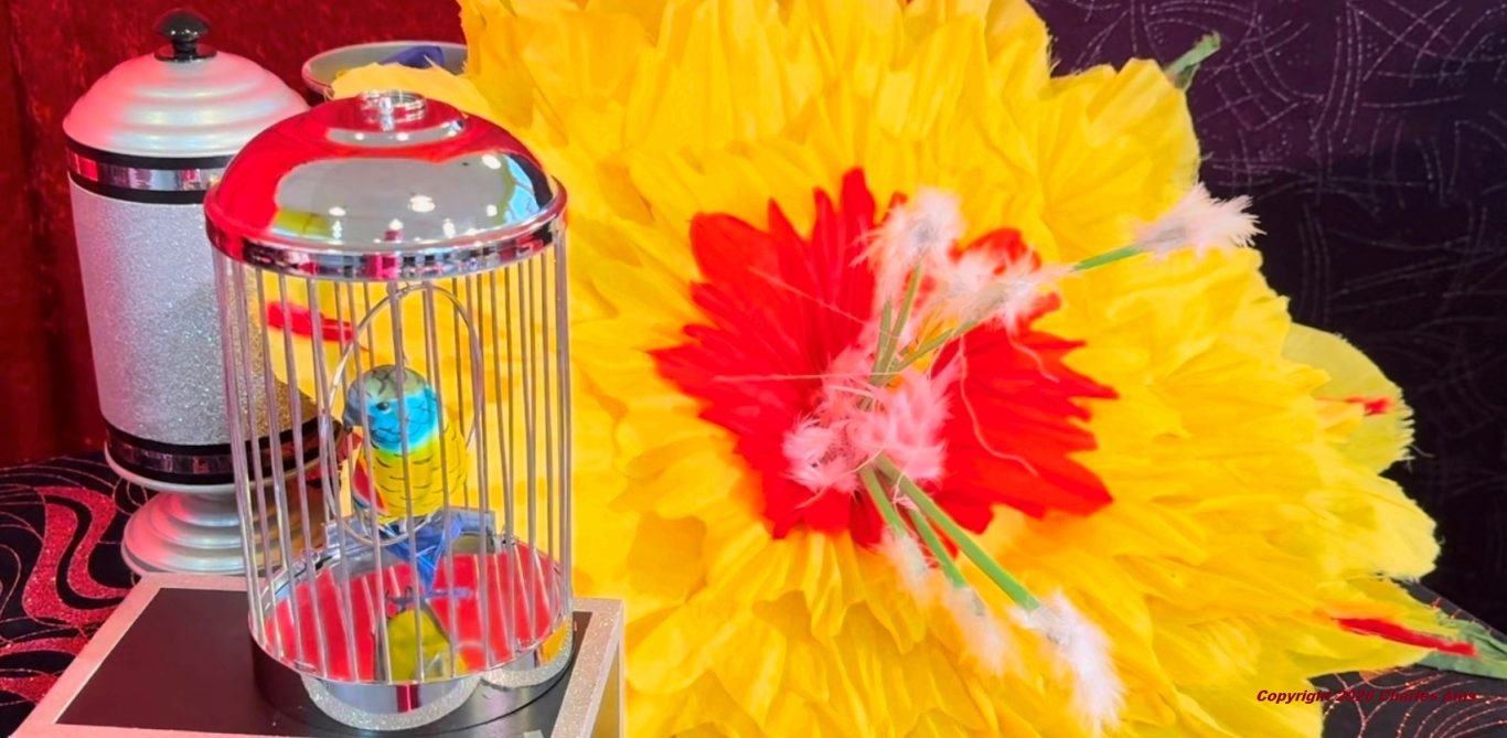 Accessoires raffinés du Spectacle magie école centre de loisirs : le meilleur magicien 78 pour anniversaire à domicile à 78120 Rambouillet Accessoires raffinés du Spectacle magie école centre de loisirs à 78120 Rambouillet : le meilleur magicien 78 pour anniversaire à domicile