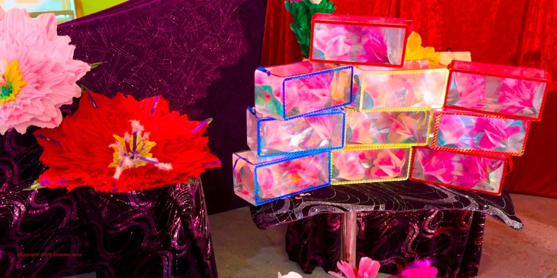 Accessoires magnifiques du Spectacle magie école centre de loisirs le meilleur magicien 78 pour anniversaire à domicile à 78460 Chevreuse Accessoires magnifiques du Spectacle magie école centre de loisirs à 78460 Chevreuse le meilleur magicien 78 pour anniversaire à domicile