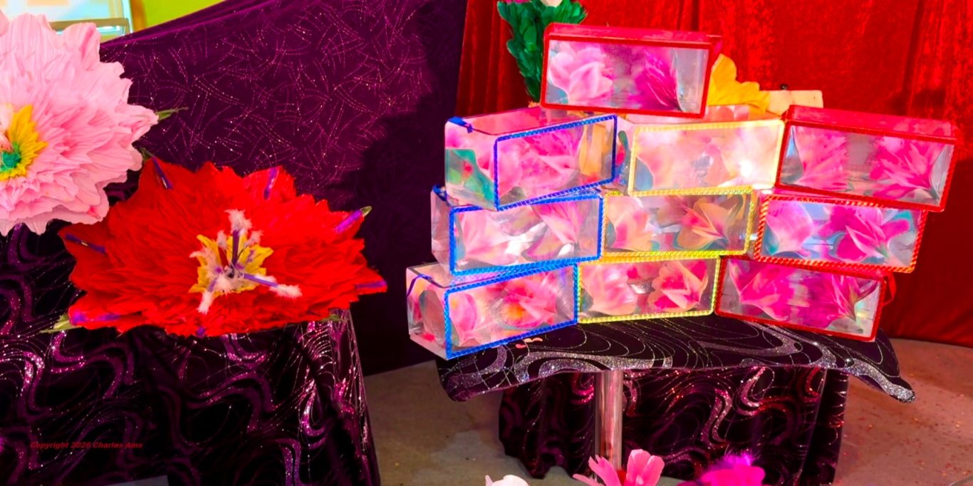 Accessoires magnifiques du Spectacle magie école centre de loisirs le meilleur magicien 78 pour anniversaire à domicile à 78460 Chevreuse Accessoires magnifiques du Spectacle magie école centre de loisirs à 78460 Chevreuse le meilleur magicien 78 pour anniversaire à domicile