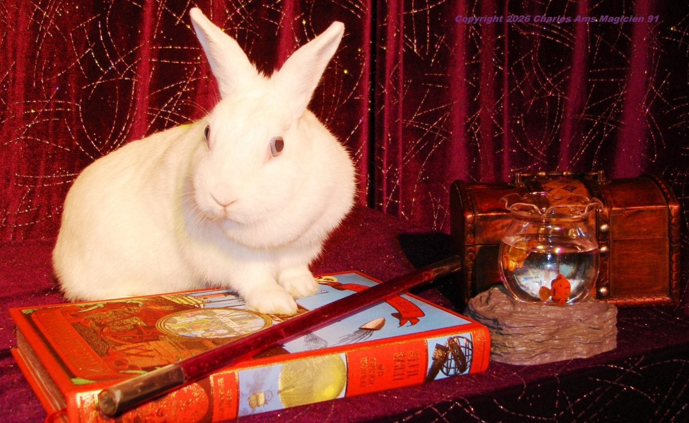 Spectacle Magie pour enfants en école centre de loisirs en Seine-Saint-Denis: Le meilleur vrai magicien 93 à 93260 Les Lilas Spectacle Magie pour enfants en école centre de loisirs en Seine-Saint-Denis: Le meilleur vrai magicien 93 à 93260 Les Lilas
