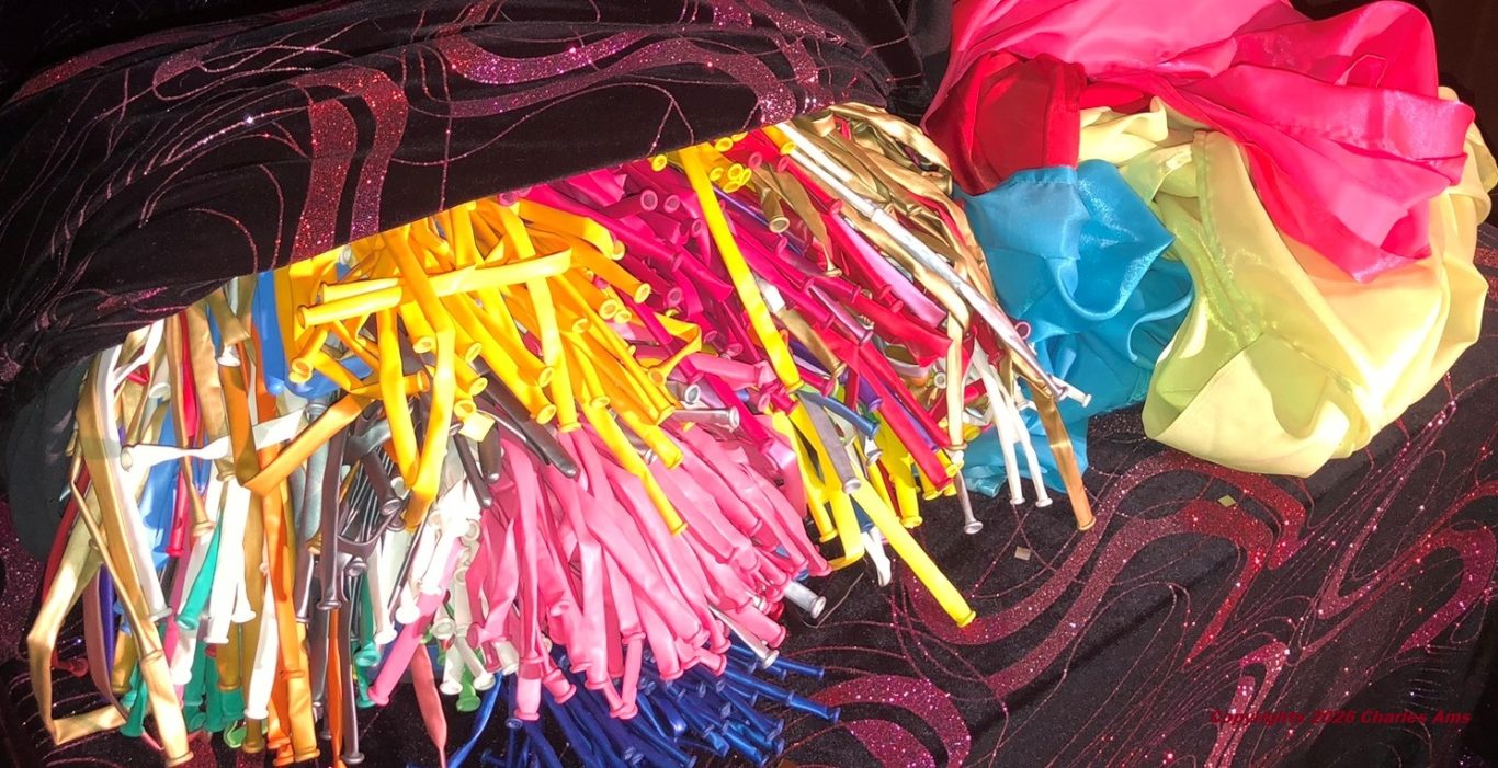 Des milliers de ballons colorés pour de fantastiques sculptures avec le magicien 75 Charles Ams à Paris 75007 Spectacle de Ballons de qualité: Charles Ams est reconnu magicien 75 et premier sculpteur de Ballon de France. Ici, école à 75007 Paris