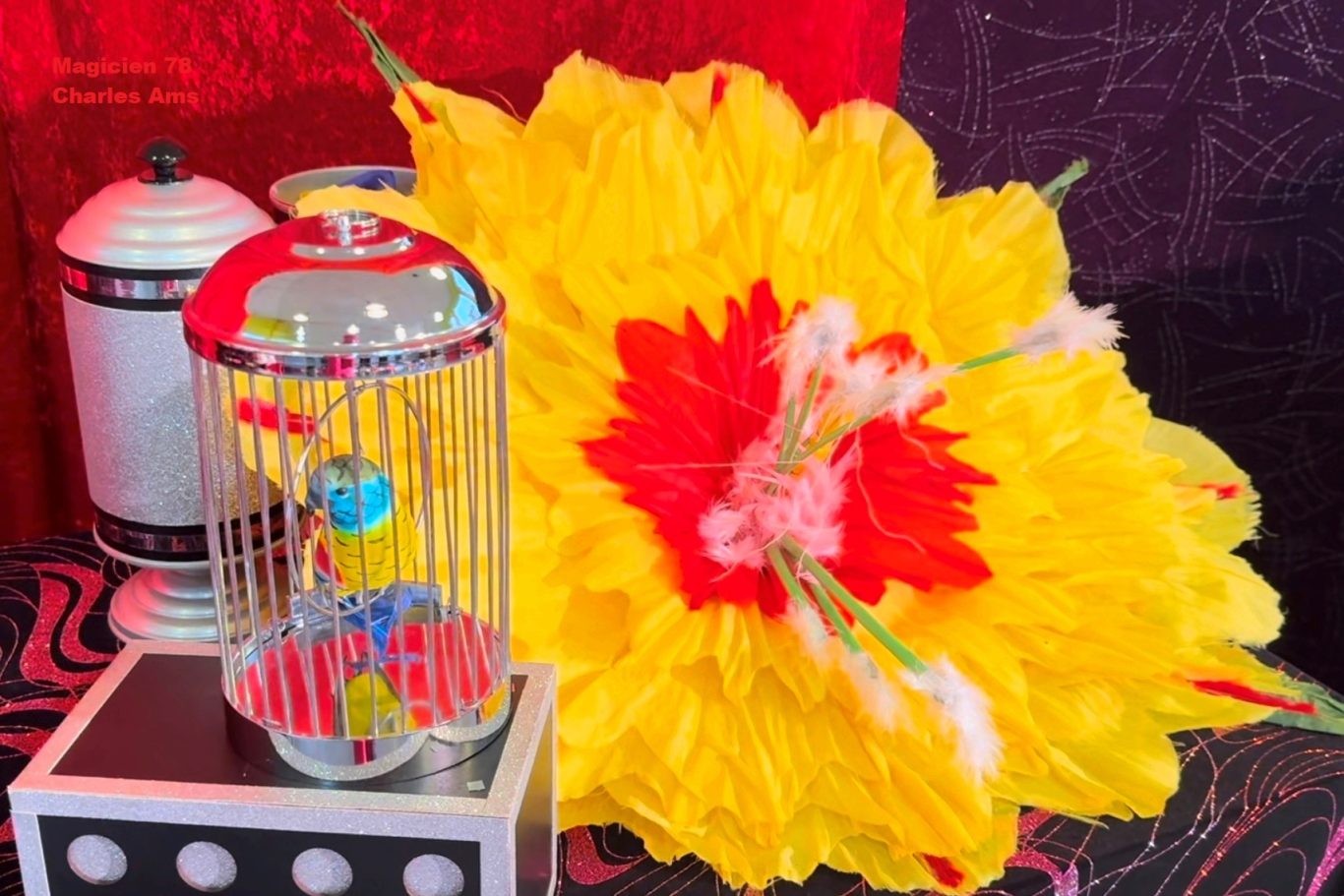 Fleurs géantes et autres apparition magique du spectacle de magie pour enfants en école à Trappes 78190 du magicien 78 Charles Ams Les fleurs géantes et oiseaux féeriques du spectacle de magie pour enfant en école maternelle du magicien 78 à Trappes 78190