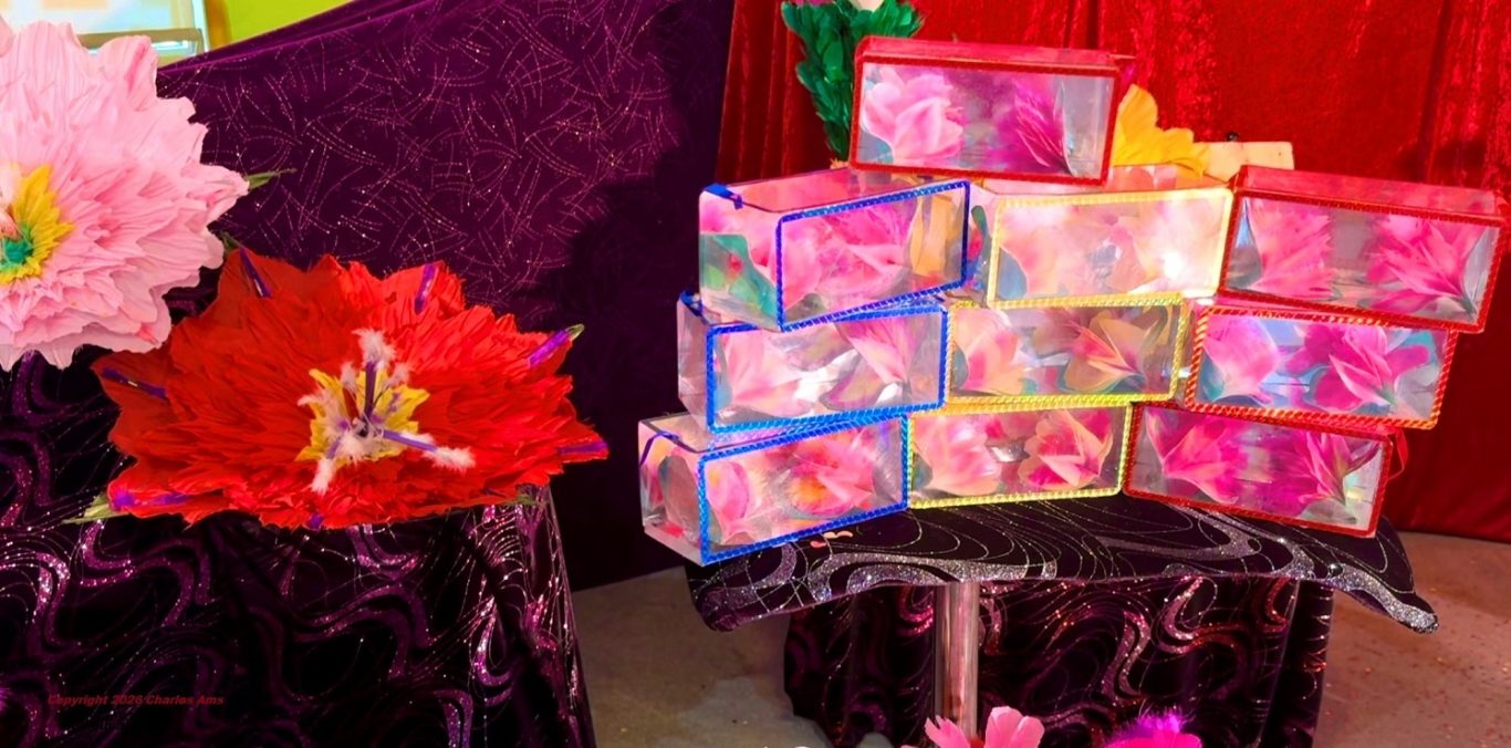 Apparitions féeriques du Théâtre: Spectacle magie enfant pour école centre de loisirs ACM à 28230 Épernon. Meilleur Magicien 28 Apparitions féeriques du Théâtre: Spectacle magie enfant pour école centre de loisirs ACM à 28230 Épernon. Meilleur Magicien 28