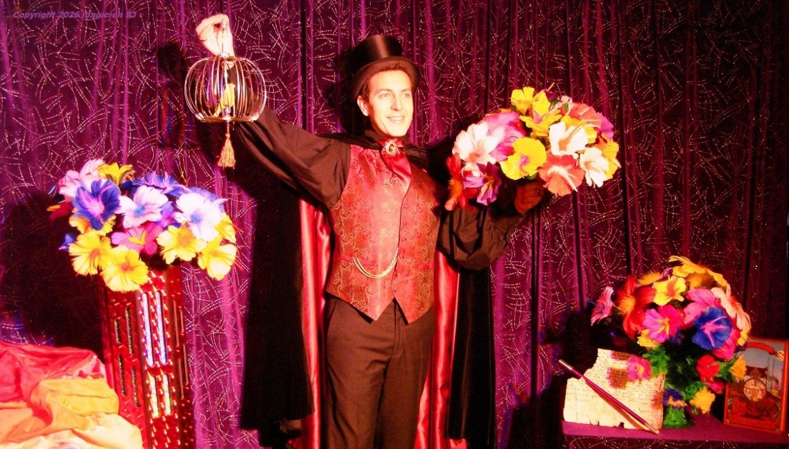 Élégant costume dans ce spectacle magie pour enfants en école centre de loisirs en Eure-et-Loir. Best Magicien 28 à 28400 Nogent-le-Rotrou Élégant costume dans ce spectacle magie pour enfants en école centre de loisirs en Eure-et-Loir. Best Magicien 28 à 28400 Nogent-le-Rotrou