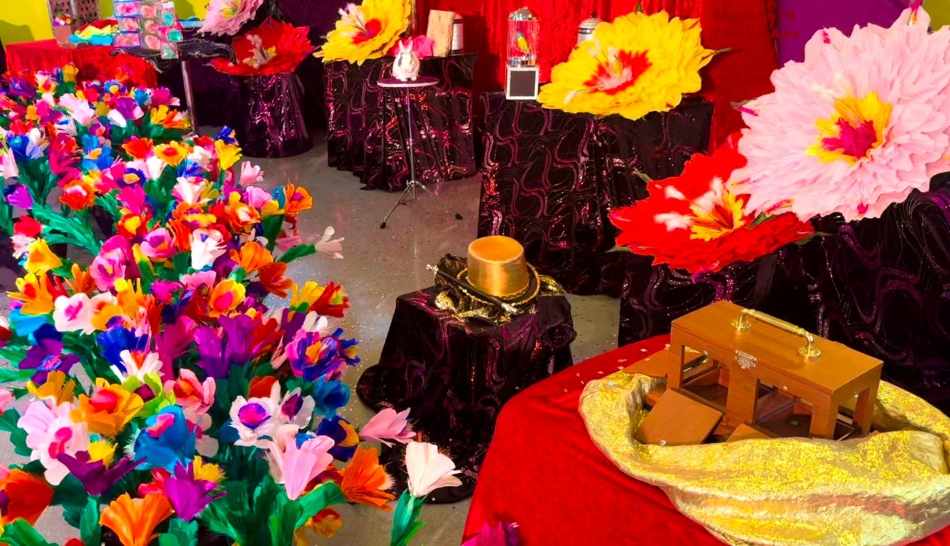 Spectacle de magie de qualité pour école primaire ( maternelle + élémentaire ) avec l'excellent magicien 78 Charles Ams dans les Yvelines Spectacle de magie de qualité pour école primaire : maternelle et classes de CP CE1 CE2 CM1 et CM2 à Saint Germain en Laye 78100. Féerique !