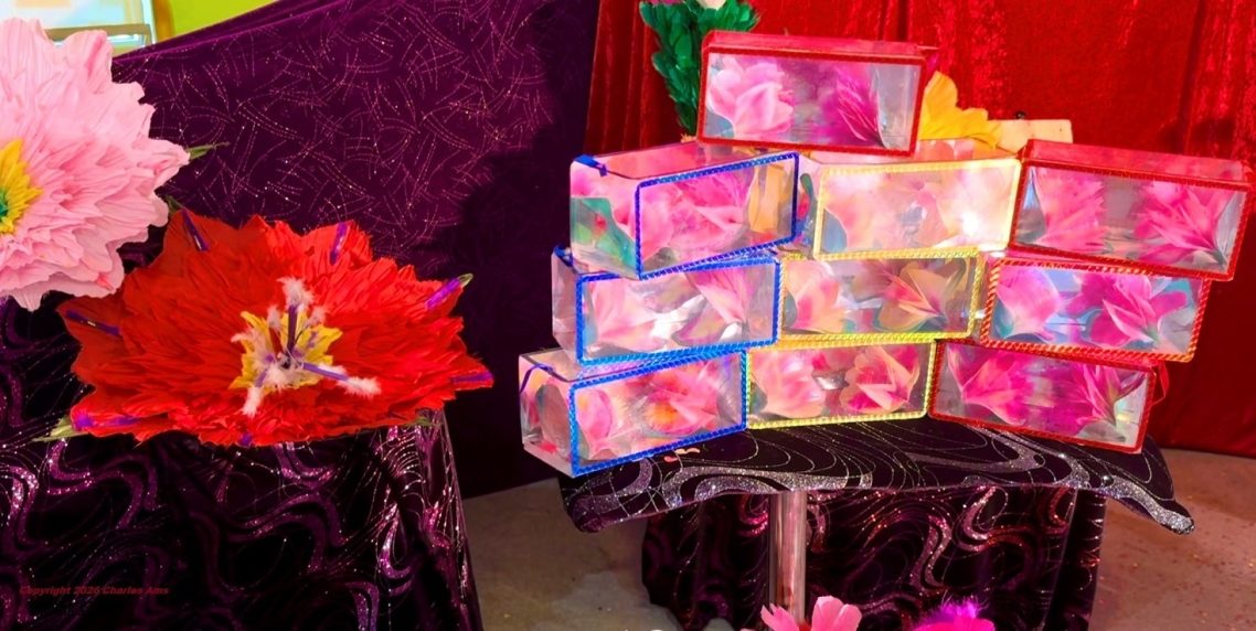 Apparitions féeriques du Spectacle magie jeune public pour école maternelle et élémentaire ALSH à 91070 Bondoufle en Essonne Apparitions féeriques du Spectacle magie jeune public pour école maternelle et élémentaire ALSH à 91070 Bondoufle en Essonne