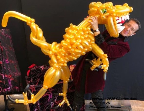 Magnifique sculpture de ballon inventée par Charles Ams le meilleur magicien en Seine-Saint-Denis à 93340 Le Raincy: Champion du Monde
