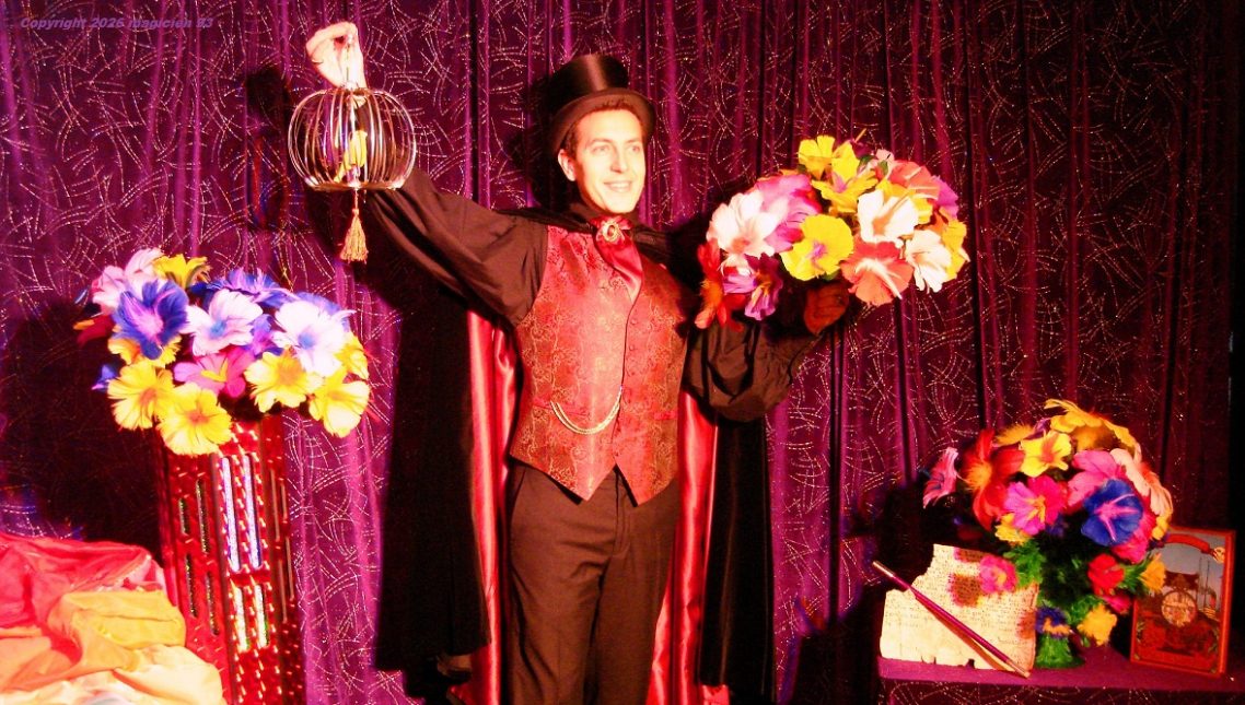 Élégant costume dans ce spectacle magie pour enfants en école centre de loisirs en Seine-Saint-Denis à 93600 Aulnay-sous-Bois. Magicien 93 Élégant costume dans ce spectacle magie pour enfants en école centre de loisirs en Seine-Saint-Denis à 93600 Aulnay-sous-Bois. Magicien 93