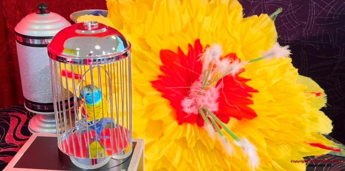 Magnifique matériel du Théâtre: Spectacle magie enfant pour école centre de loisirs ACM en Seine-Saint-Denis à 93240 Stains: Magicien 93 Magnifique matériel du Théâtre: Spectacle magie enfant pour école centre de loisirs ACM en Seine-Saint-Denis à 93240 Stains: Magicien 93