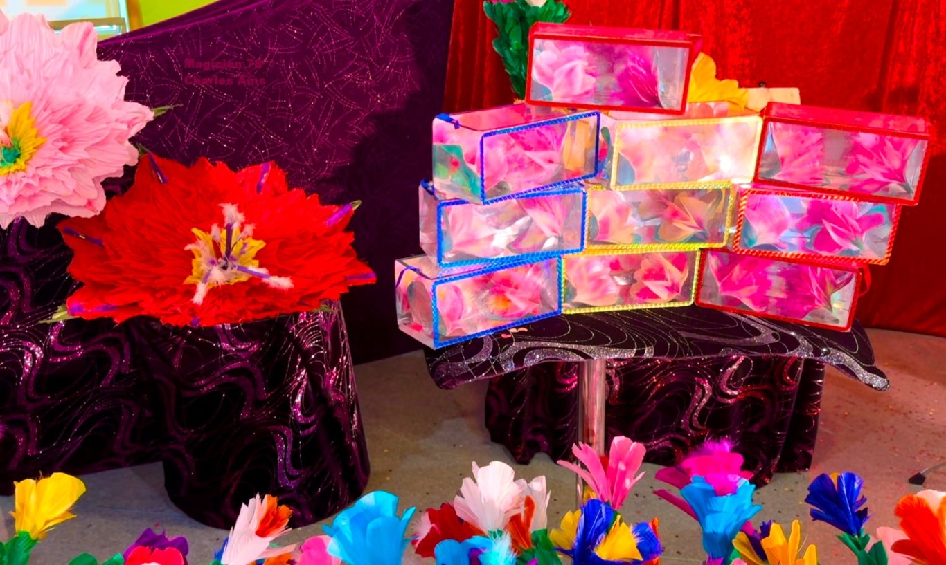 Matériel coloré du spectacle pour arbre de Noel en Entreprise du magicien 78 ici à Saint-Germain-en-Laye 78100 Théâtre complet fourni Matériel coloré du spectacle de magie Arbre de Noel du magicien 78 Charles Ams à Saint-Germain-en Laye 78100 Animation Magie en Entreprise