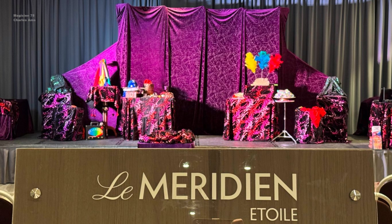 Spectacle Arbre de Noel Haut de Gamme avec décor, éclairage et sonorisation complète fournis par Charles Ams à 78800 Houilles Spectacle Arbre de Noel pour une entreprise dans un salon d'hôtel des Yvelines à Houilles 78800 avec Magicien Haut-de-Gamme pour enfants