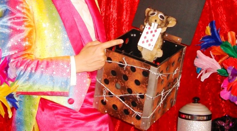 Magie interactive et drôle du meilleur magicien intervenant spectacle scolaire 92 maternelle centre de loisirs école primaire à 92330 Sceaux Magie avec animaux du meilleur magicien intervenant spectacle scolaire 92 maternelle centre de loisirs école primaire à 92330 Sceaux